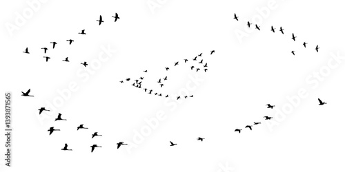 birds silhouette between meals icon