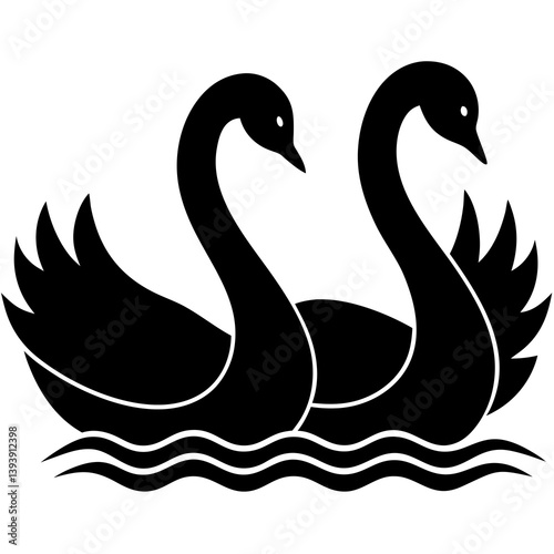 swans on the water