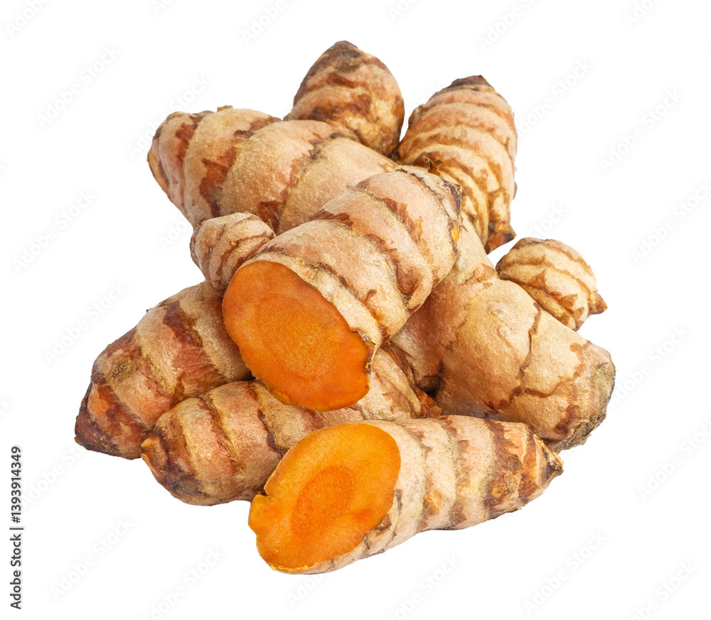 Fototapeta premium Turmeric root. Fresh turmeric root , vibrant natural ingredient. Curcuma longa linn. Fresh raw turmeric root isolated. Png transparency