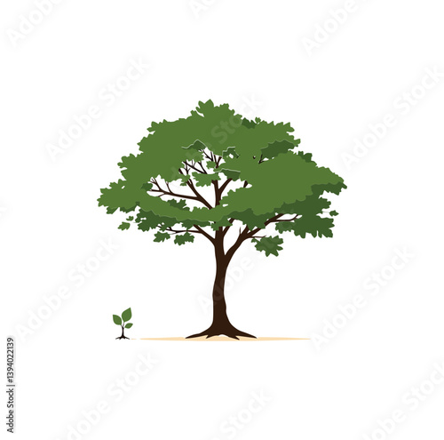 small sprouting sapling with a large, mature tree, symbolizing the contrast between youth and maturity, potential and experience. 