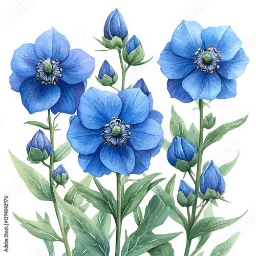 Delphinium branch, watercolor illustration, isolated on a white background.

