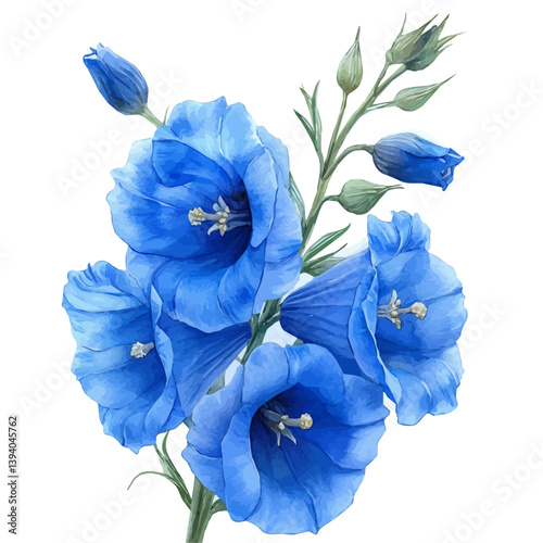 Delphinium branch, watercolor illustration, isolated on a white background.

