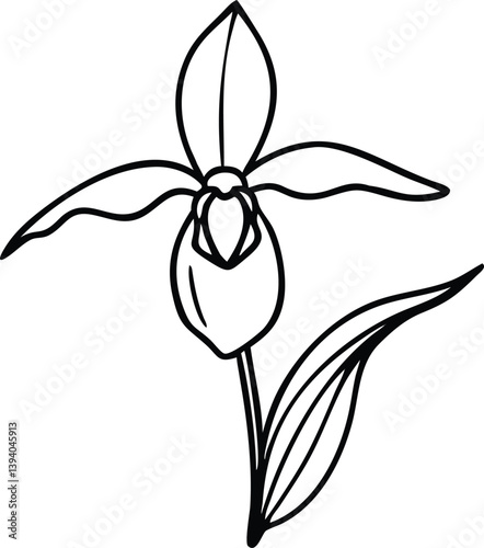 lily, lilac, lavender, lavender, larkspur, ladys slipper orchidflower logo