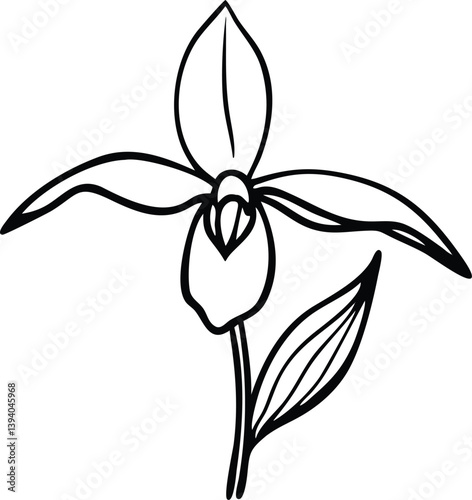 lily, lilac, lavender, lavender, larkspur, ladys slipper orchidflower logo