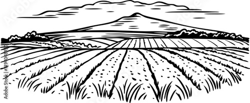black and white landscape illustration of farmland with mountains and clouds in the background