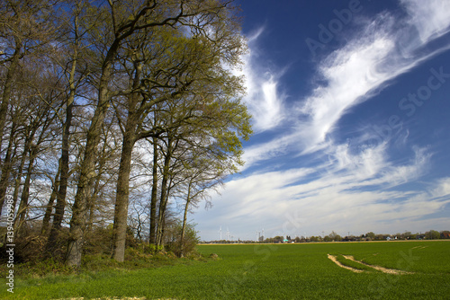 German countryside landscape, Lower Rhine Region