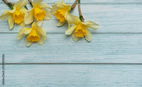 Obraz na płótnie Yellow daffodils lying on light blue rustic wooden planks w salonie