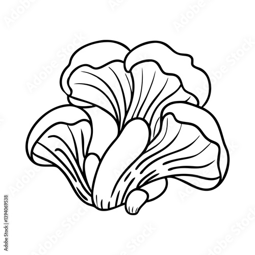 oyster mushroom icon, oyster mushroom line art - simple line art of oyster mushroom, perfect for oyster mushroom logos and icons