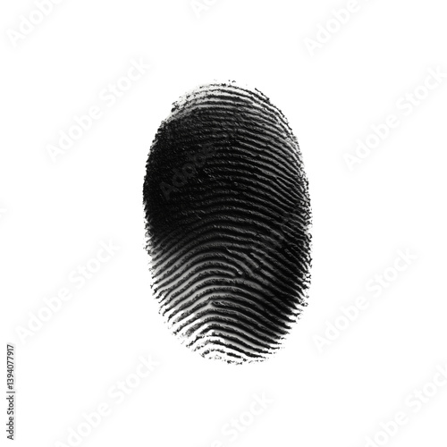 A detailed fingerprint unique swirls and patterns, emphasizing its distinctive features.