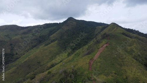 Beautiful aerial views of the mountains filled with trees and plants and there are paths to walk and separate the plants so they don't spread in the event of a fire