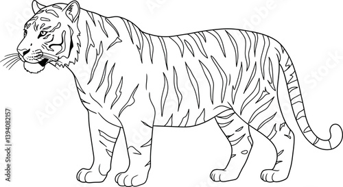 Striped Tiger Coloring Sheet Outline Showing Pattern On Body Tail Printable Childrens Big Cat Jungle Art