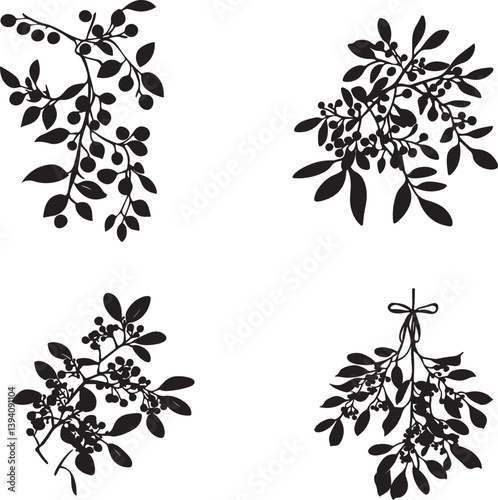 Mistletoe silhouette