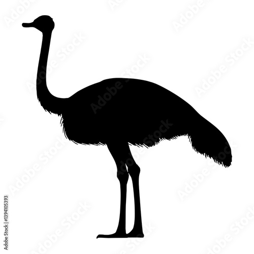 Ostrich black silhouette isolated on white background. Vector illustration.