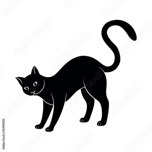 black and white cat