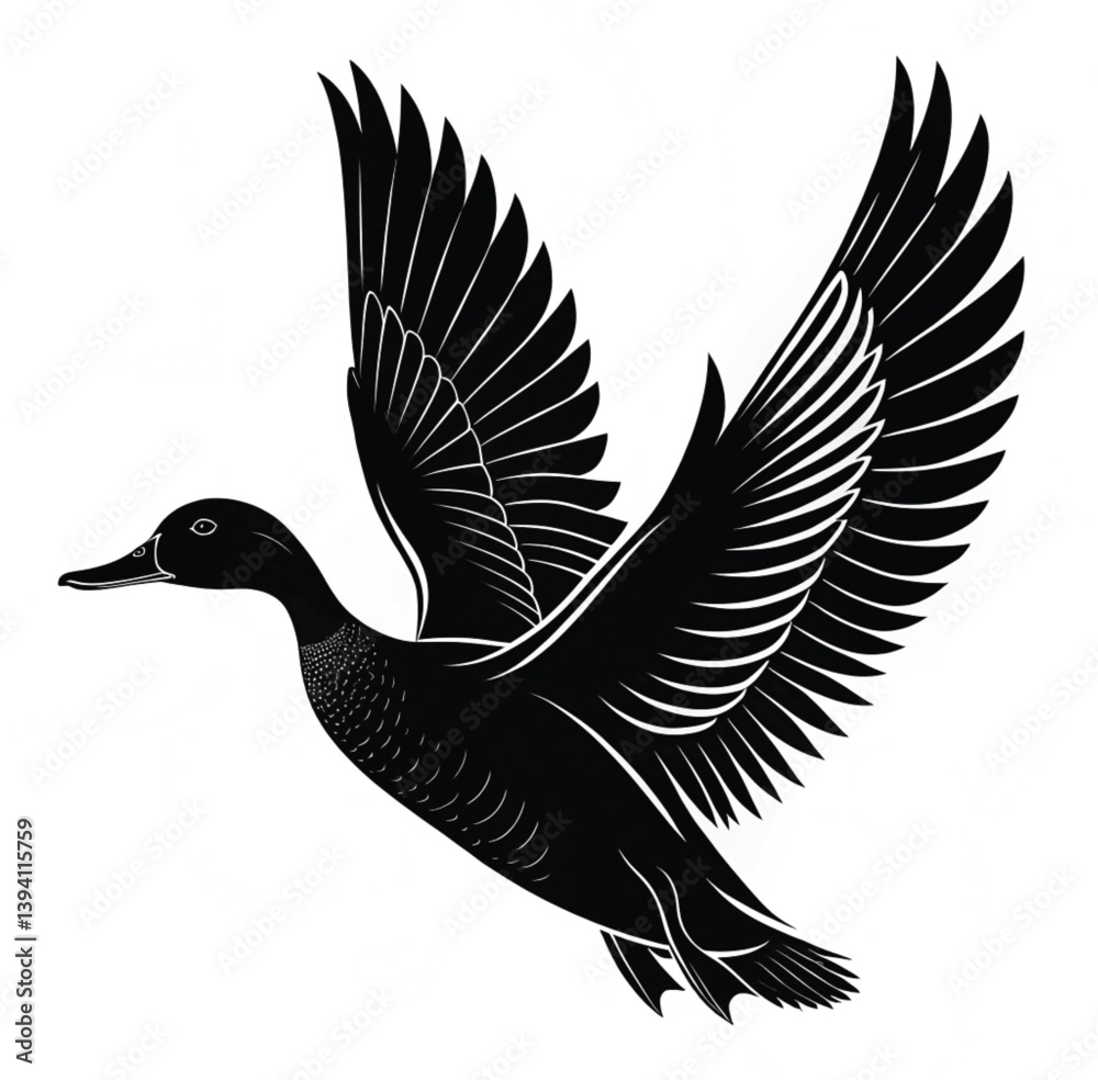 Obraz premium black and white duck