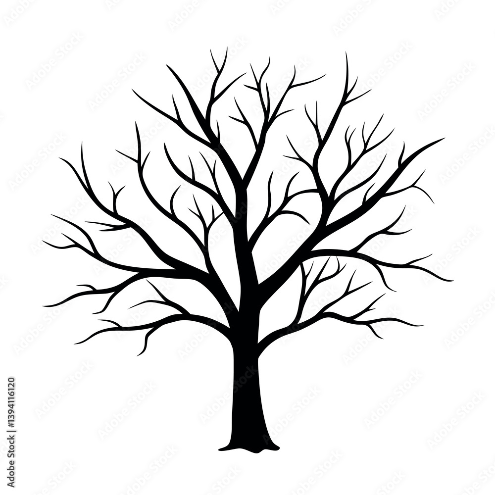 Obraz premium bare-tree-branches