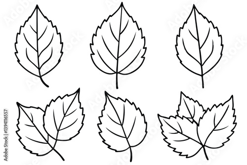 Poplar Leaf Line Art Illustration Creative Drawing for Nature Lovers  