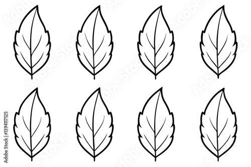 Poplar Leaf Line Art Illustration Detailed Design for Artistic Creation 