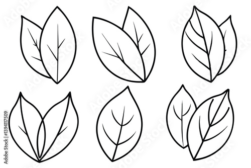 Poplar Leaf Line Art Illustration Detailed Design for Artistic Creation 