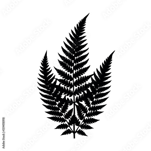 fern leaf vector