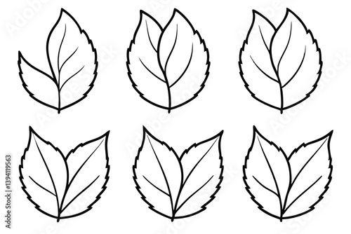 Poplar Leaf Line Art Illustration Unique Artistic Interpretation for Printing  