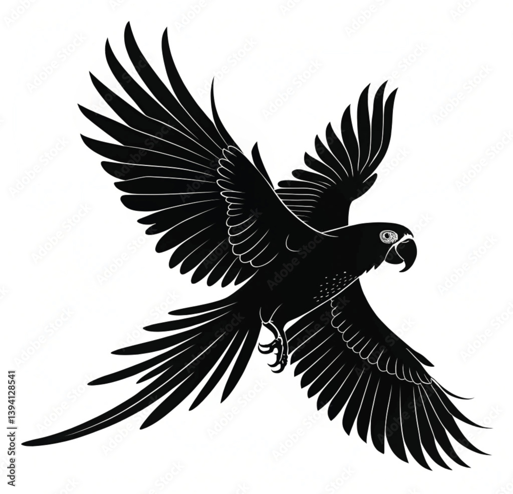 Obraz premium eagle in flight
