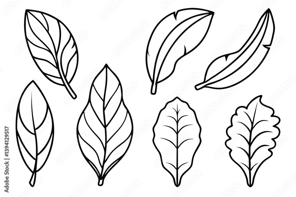 Fototapeta premium Plantain Leaf Line Art Sketch for Organic Design Theme 