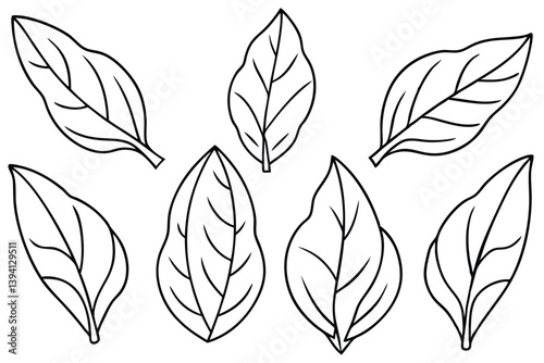 Plantain Leaf Line Art Sketch for Organic Design Theme  