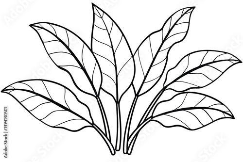 Plantain Leaf Line Art Style for Garden Inspired Artwork  