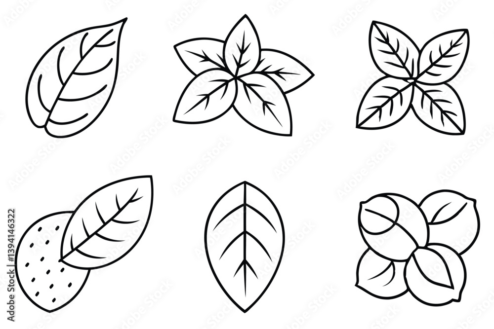 Fototapeta premium Potato Leaf Line Art Creative Design for Nature Illustration 