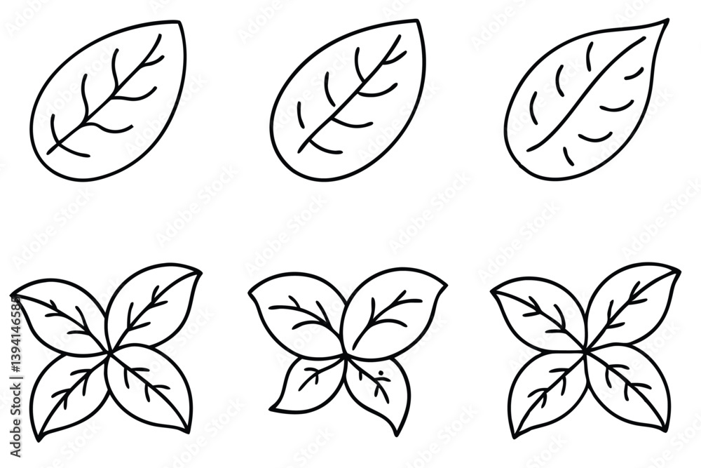 Fototapeta premium Potato Leaf Line Art Detailed Drawing for Botanical Artwork 