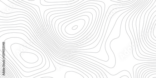 Modern Abstract Seamless Pattern with Topographic Lines and Sea Map Detailing, Featuring Mounted Map Area and Geometric Grid Landscape on a White Background