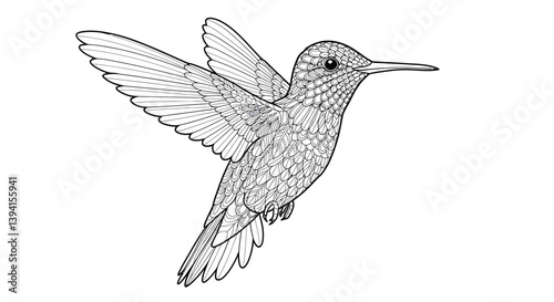 Hummingbird Drawing Line Art In Hovering Pose Featuring Widely Spread Tiny Wings Detailed Flight Action Garden Sketch