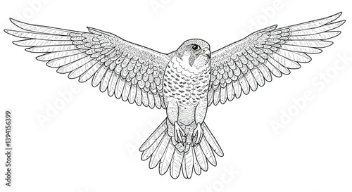 Peregrine Falcon Outline Captured In Dynamic Mid Flight Pose With Wings Spread Wide Fastest Bird Of Prey Action