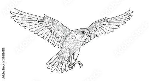 Soaring Peregrine Falcon Illustration Line Art Mid Flight Action With Wings Fully Spread Powerful Raptor Sky Sketch
