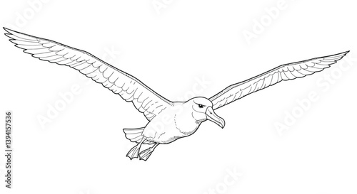Gliding Albatross Illustration Line Art Showcasing Expansive Long Wings Spread Wide In Effortless Flight Ocean Pose