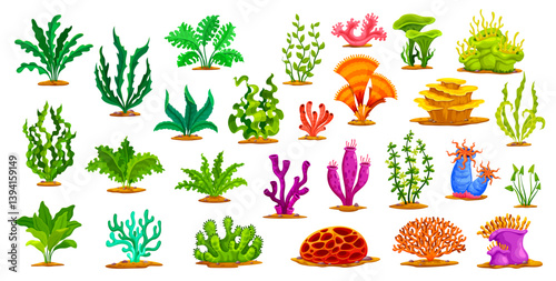 Cartoon underwater algae seaweeds, sea coral reef kelp and sponges, vector icons. Tropical undersea corals and seaweeds, sea and ocean seabed and underwater plants or actinia and aquatic flowers