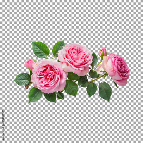 old brass blank sign, Lovely Pink Roses Cluster with Green Leaves on transparent background, png, psd
