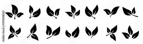 Leaf icons. Leaves of trees and plants. Leaves on white background. Ecology. Vector illustration.