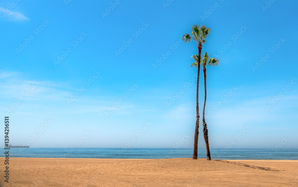 Two palm trees standing next to one another on an empty beach