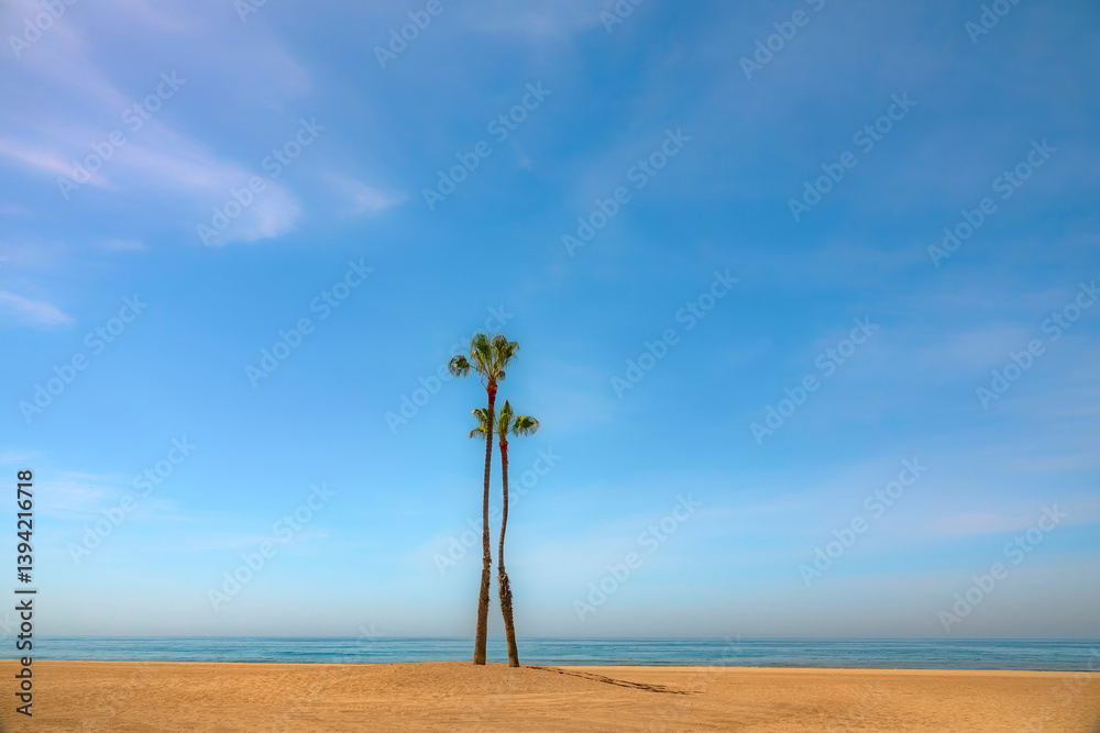 Two palm trees standing next to one another on an empty beach