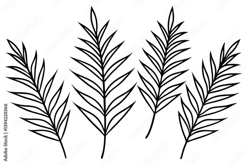 Royal Fern Leaf Line Art Detailed Drawing for Nature Artwork  
