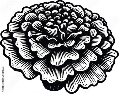 Marigold Flower Tattoo Style Outline, Hand-Drawn Monochrome Illustration