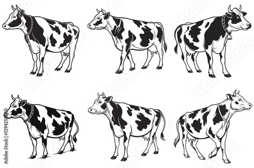 set of cows