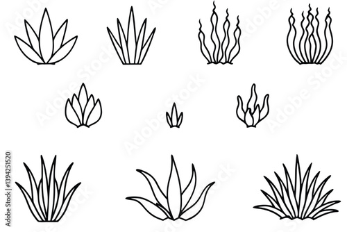 Seagrass Beds Line Art Illustration for Marine Life Depiction  