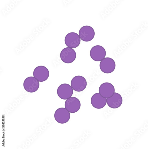 Streptococcus pneumoniae bacteria. Vector bacterial microorganism illustration 