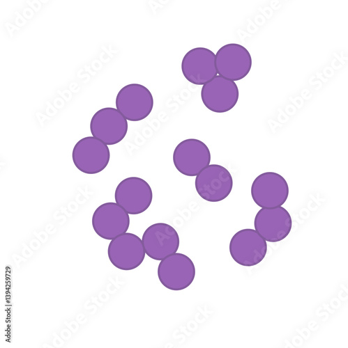 Streptococcus pneumoniae bacteria. Vector bacterial microorganism illustration 
