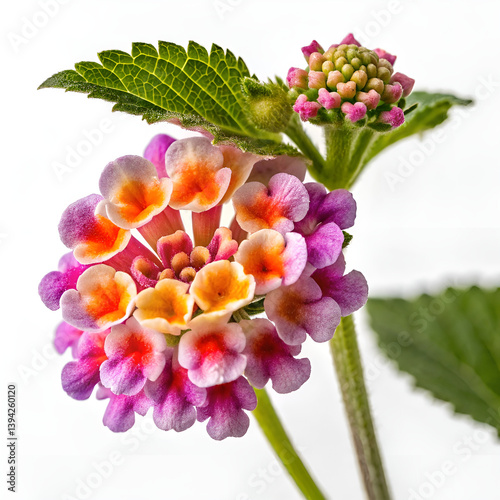 bouquet of flowers and berries