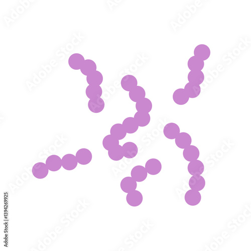 Streptococcus bacteria. Streptococcus pyogenes cells. Vector illustration 