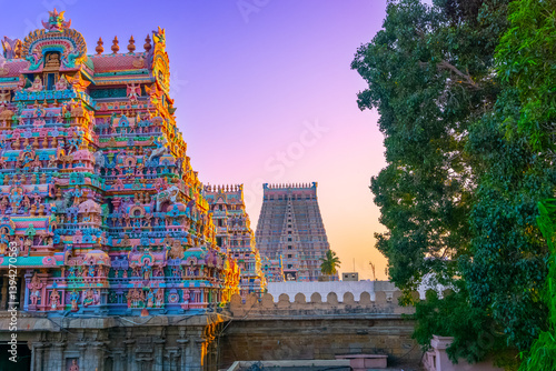 Sri Ranganatha Swamy temple is located in Srirangam, Tiruchirapalli, Tamil Nadu, South India. This Hindu temple dedicated to Ranganatha (a form of Vishnu) & his consort Ranganayaki (a form of Lakshmi.